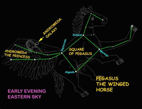 Skywatch: Best constellation of autumn? A horse, of course